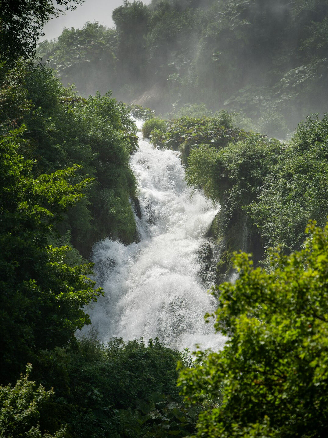 Waterfall flowing through green vegetation