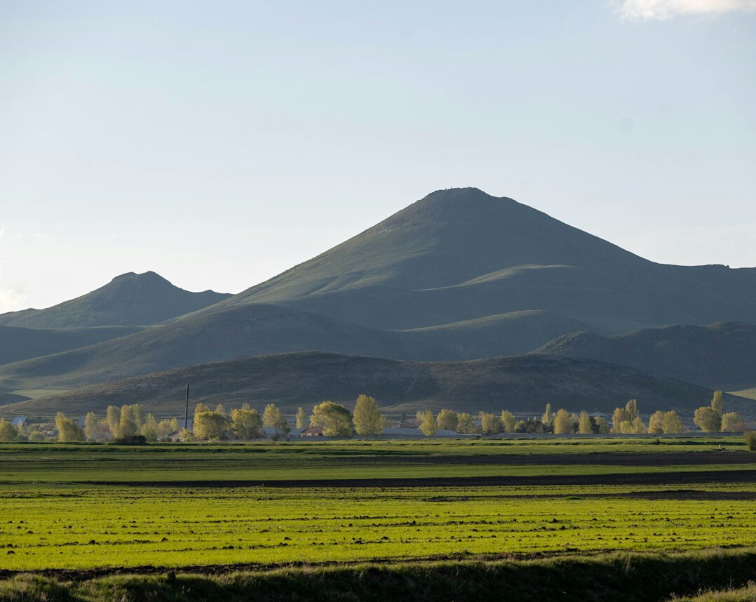 Green mountains and meadow landscape