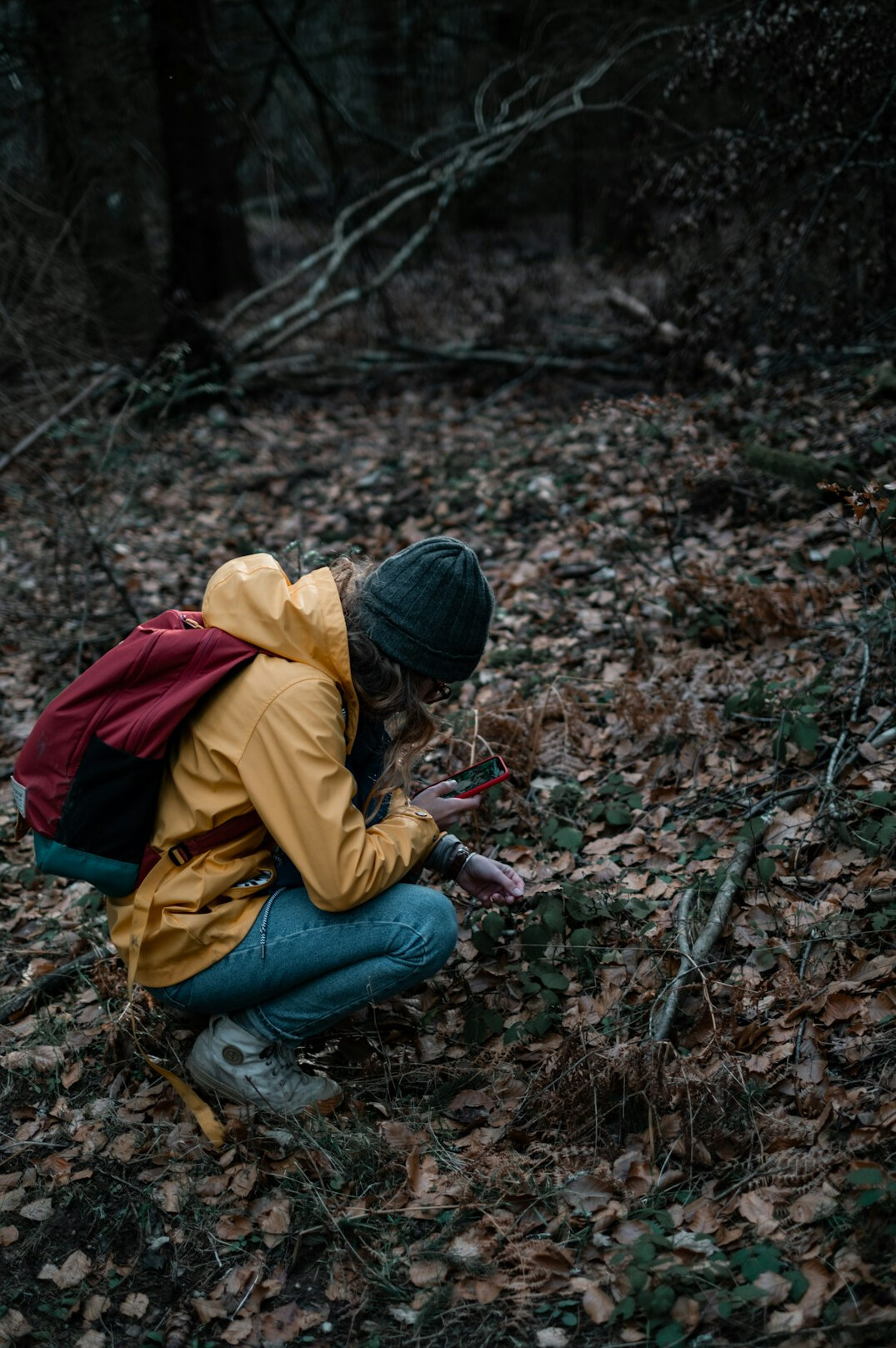 hiker planting trees in forest