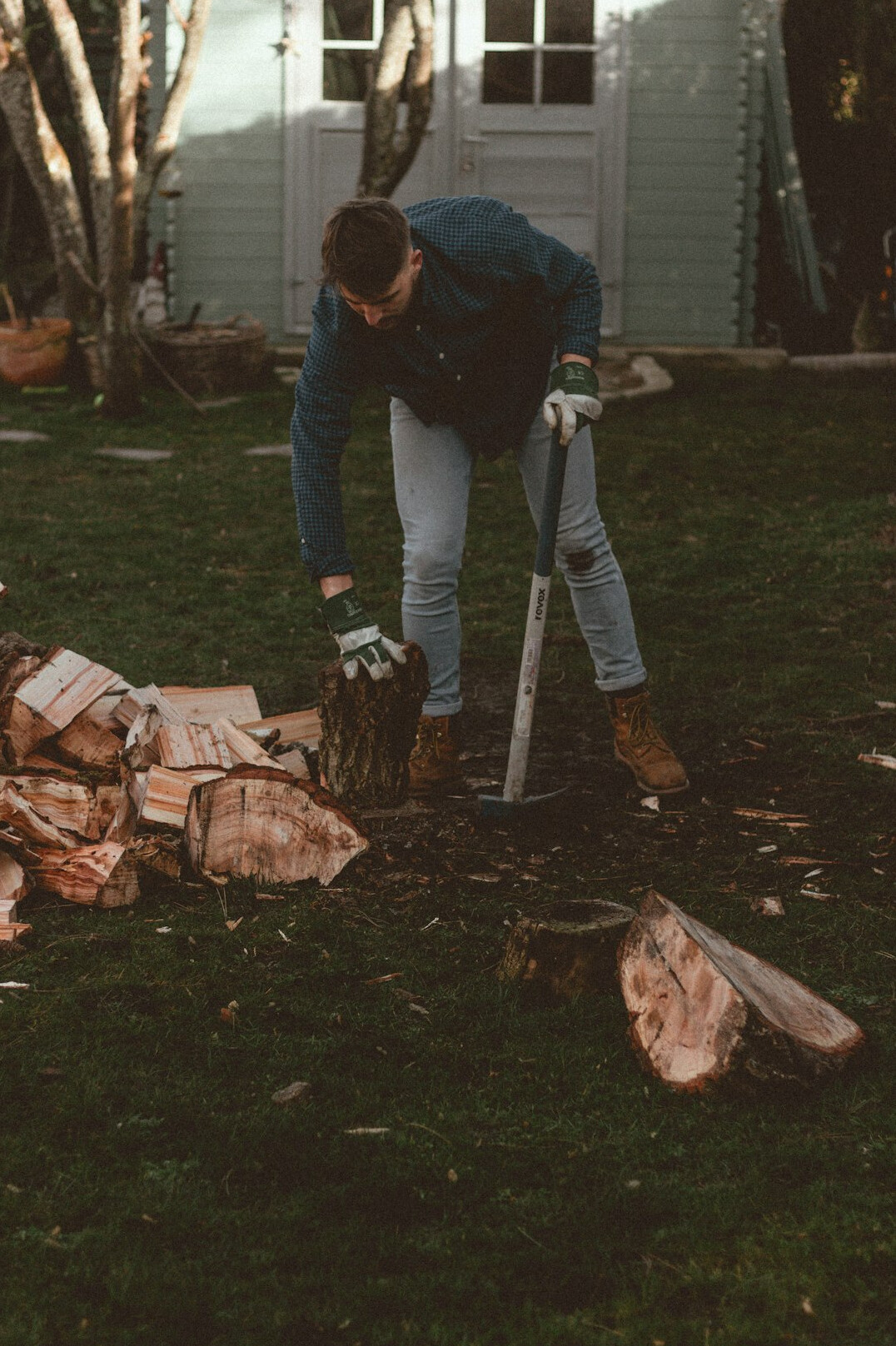person planting trees