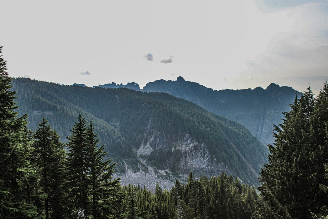 Mountain valley with sunlight and trees