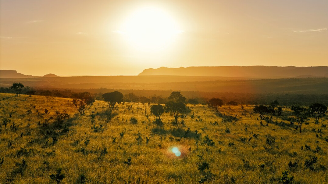 cerrado landscape brazil